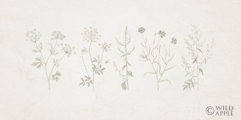 Reproduction of Gifts from the Meadow I by Sarah Adams - Wall Decor Art