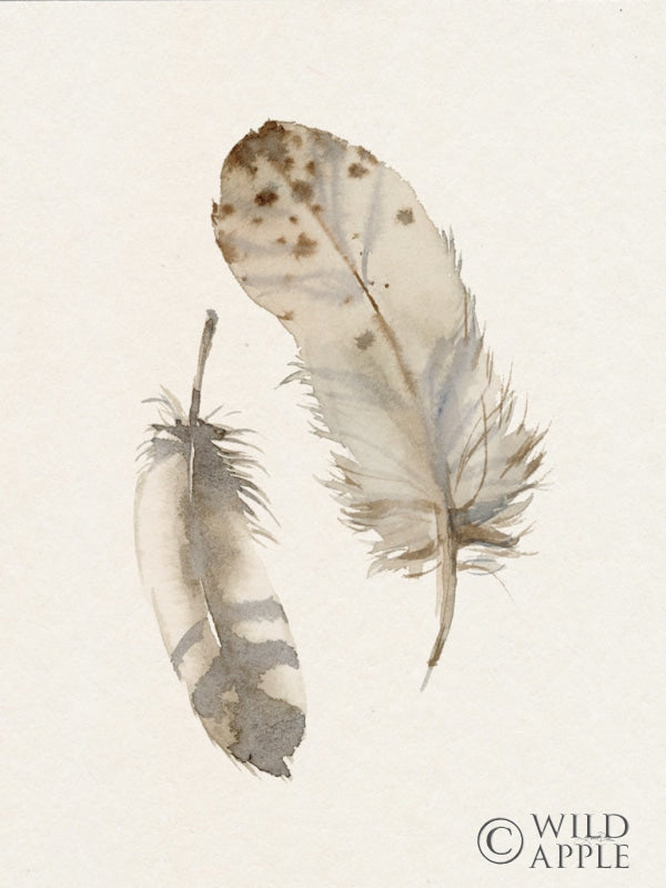 Reproduction of Falling Feathers II by Katrina Pete - Wall Decor Art