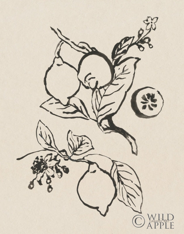 Reproduction of Citrus Summer I by Danhui Nai - Wall Decor Art