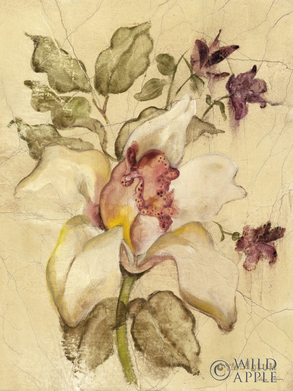 Reproduction of Cymbidium by Cheri Blum - Wall Decor Art