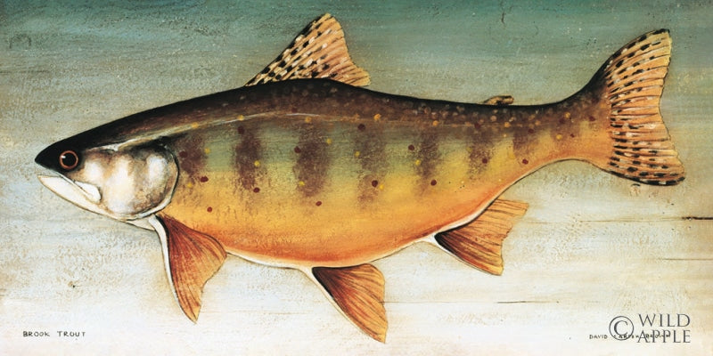 Reproduction of Brook Trout No Border by David Carter Brown - Wall Decor Art