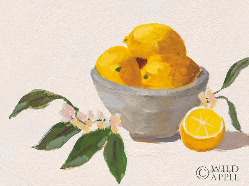 Reproduction of Lemons in Grey Bowl Texture by Pamela Munger - Wall Decor Art