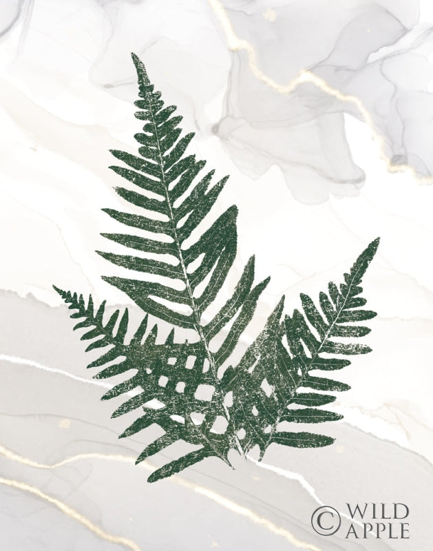 Reproduction of Agate Ferns XI by Wild Apple Portfolio - Wall Decor Art