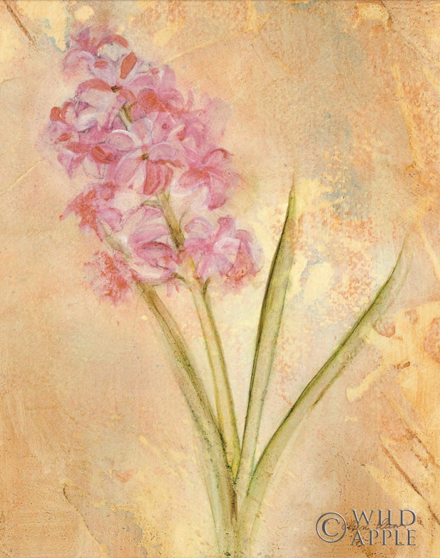 Reproduction of Pink Hyacinth by Cheri Blum - Wall Decor Art