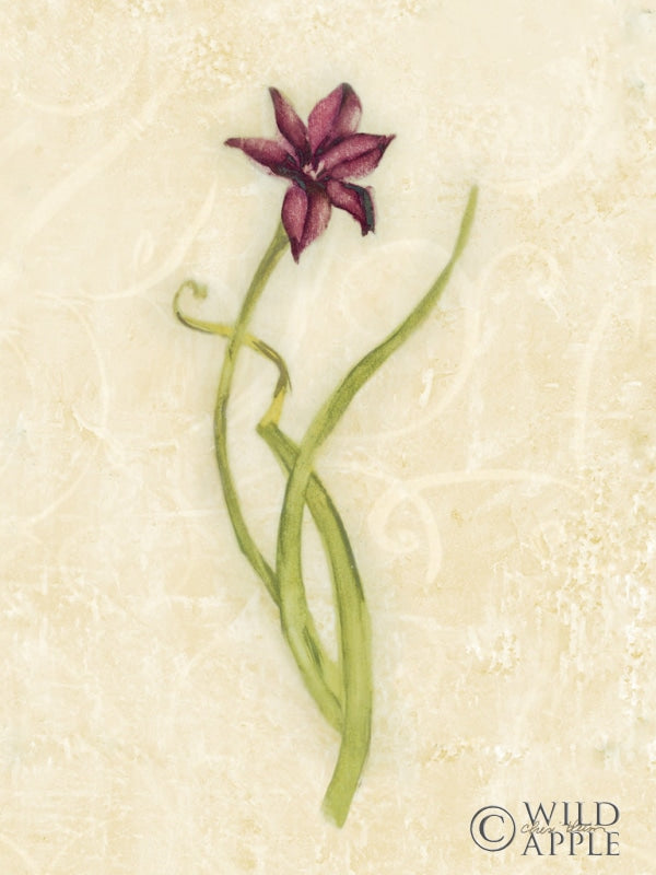Reproduction of Persian Pearl Stem by Cheri Blum - Wall Decor Art