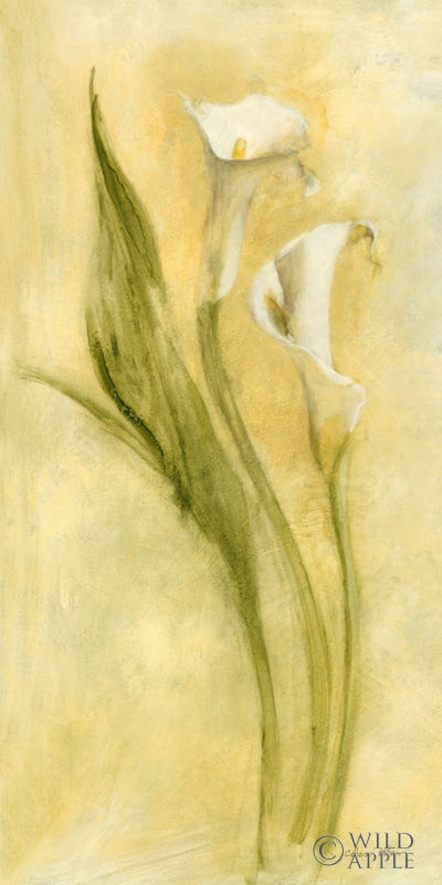 Reproduction of Graceful Calla Lilies II by Cheri Blum - Wall Decor Art