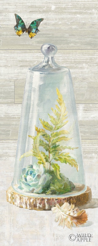 Reproduction of Succulent Garden IV Panel by Danhui Nai - Wall Decor Art