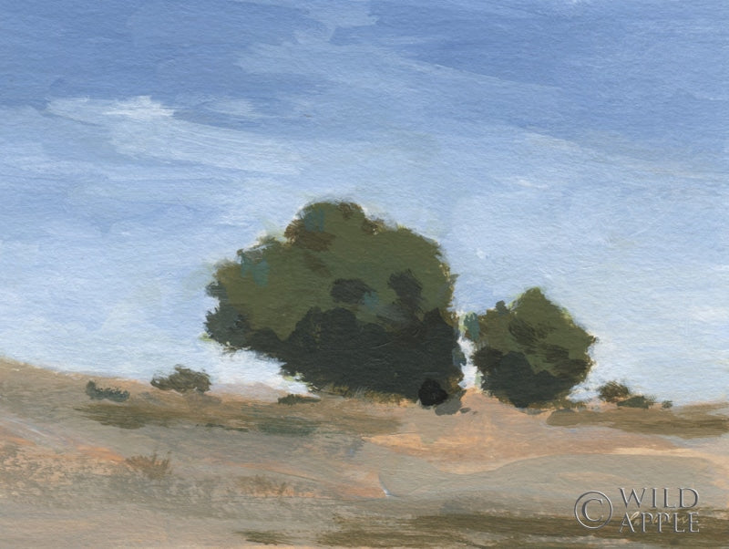 Reproduction of Sky Backdrop by Pamela Munger - Wall Decor Art