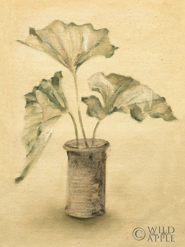 Reproduction of Palm II by Cheri Blum - Wall Decor Art