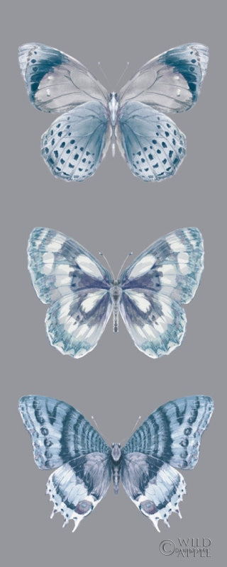 Reproduction of Fragile Wings Butterfly Panel Gray by Danhui Nai - Wall Decor Art