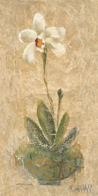 Reproduction of Sympodial by Cheri Blum - Wall Decor Art