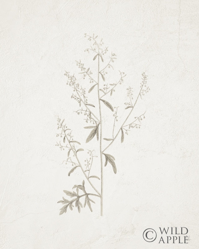 Reproduction of Gifts from the Meadow II by Sarah Adams - Wall Decor Art