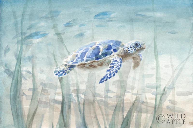Turtle Painting