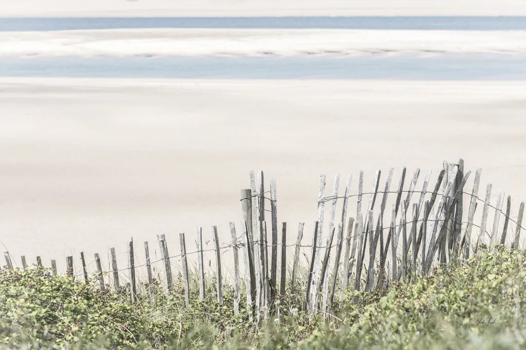 Coastal Fence I by Deborah Revell. SKU 102392i. Archival Giclee Fine art print for wall decor.