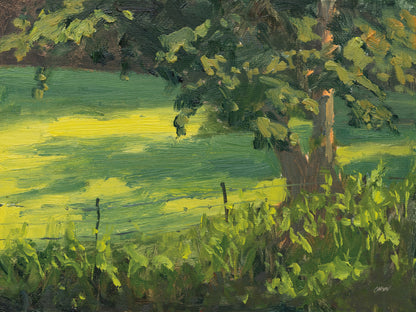 Reproduction of Early Morning Pasture by Carson Overstreet - Wall Decor Art