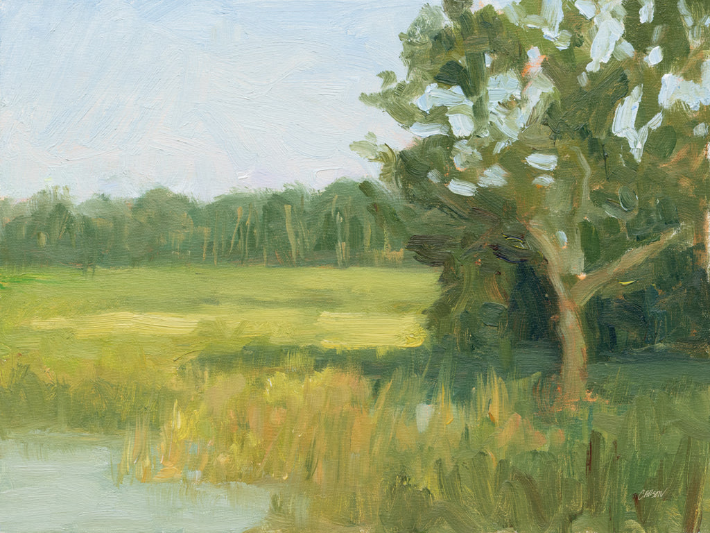 Reproduction of Across the Cove by Carson Overstreet - Wall Decor Art