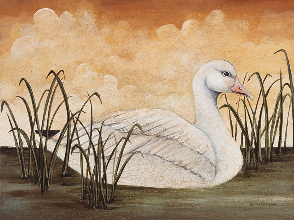 Reproduction of Snow Goose by David Carter Brown - Wall Decor Art