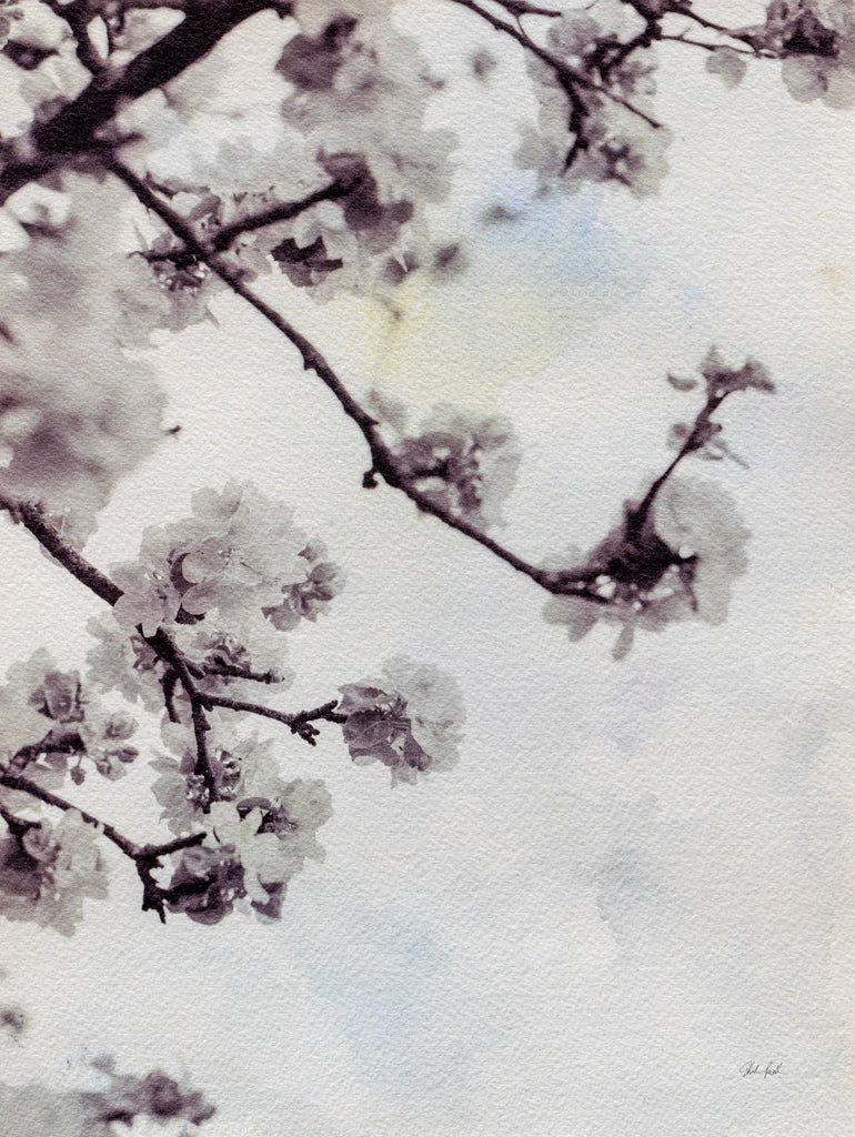 Reproduction of Subtle Blossom by Deborah Revell - Wall Decor Art