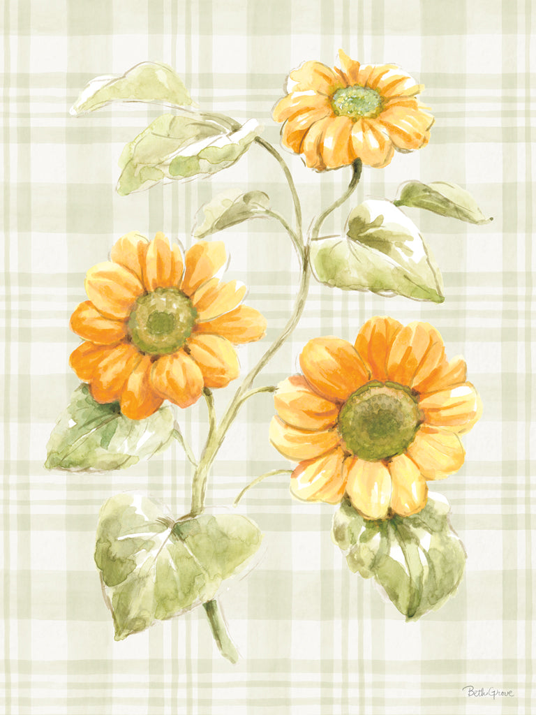 Reproduction of Harvest Wishes V by Beth Grove - Wall Decor Art