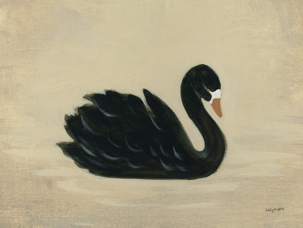 Reproduction of Black Swan by Haley Knighten - Wall Decor Art