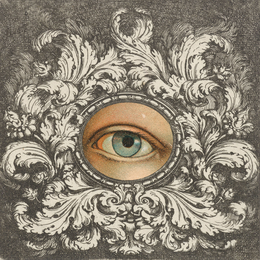 Reproduction of Eyes Are Watching I by Wild Apple Portfolio - Wall Decor Art