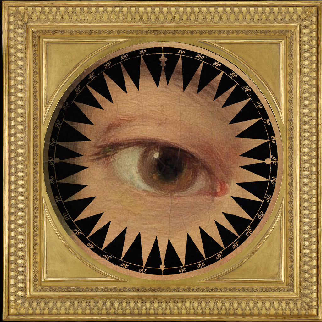Reproduction of Eyes Are Watching VII by Wild Apple Portfolio - Wall Decor Art