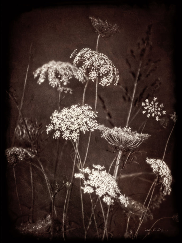 Delicate Lace I