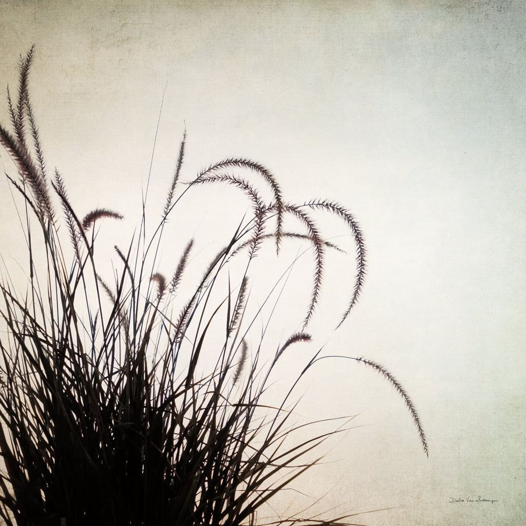 Simple Grasses II