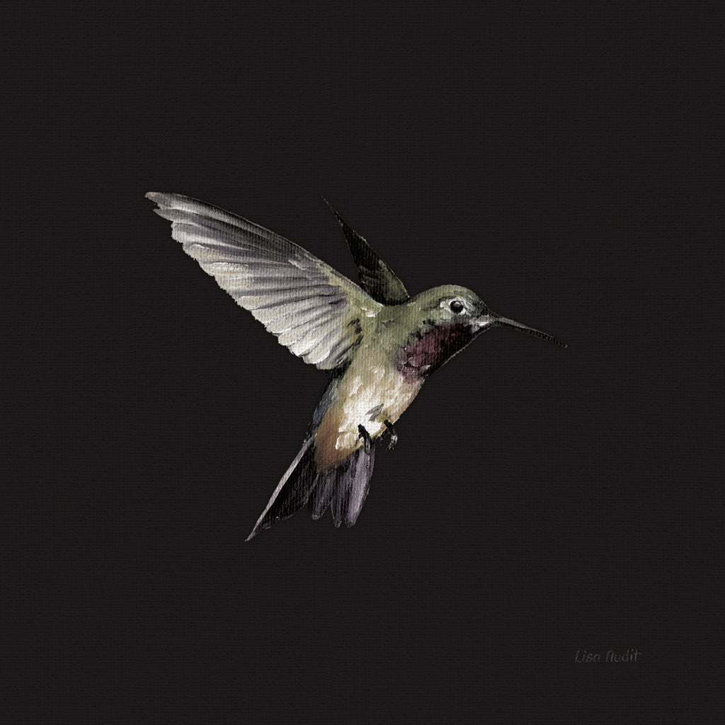 Reproduction of Spring Nectar V by Lisa Audit - Wall Decor Art