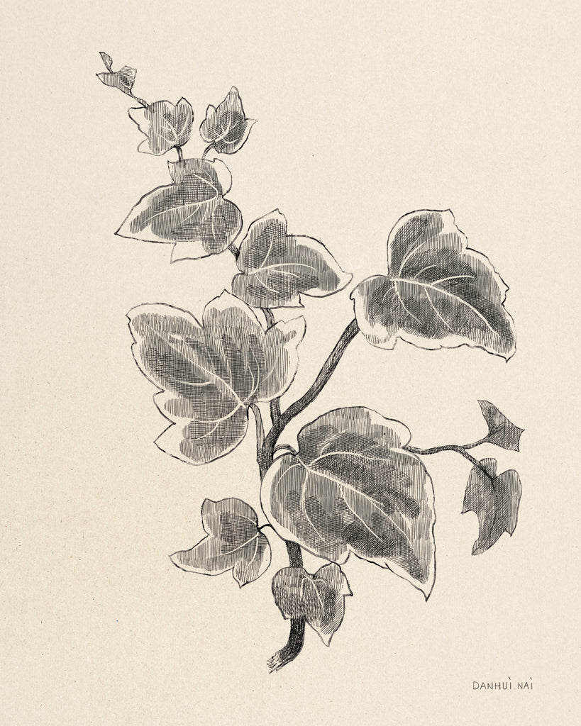 Reproduction of Climbing Ivy by Danhui Nai - Wall Decor Art