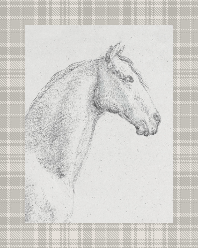 Reproduction of The Horse Aga Black and White v3 by Public Domain - Wall Decor Art