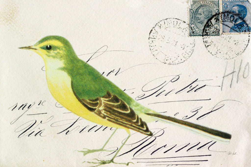 Reproduction of Yellow Wagtail by Deborah Revell - Wall Decor Art