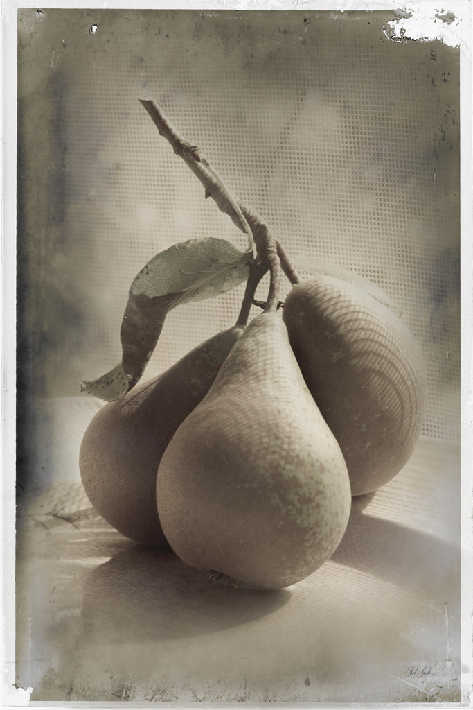 Reproduction of Trois Poires II by Deborah Revell - Wall Decor Art
