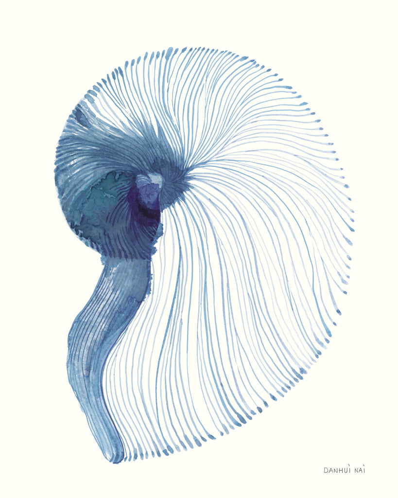 Reproduction of Nautilus in Blue VI by Danhui Nai - Wall Decor Art