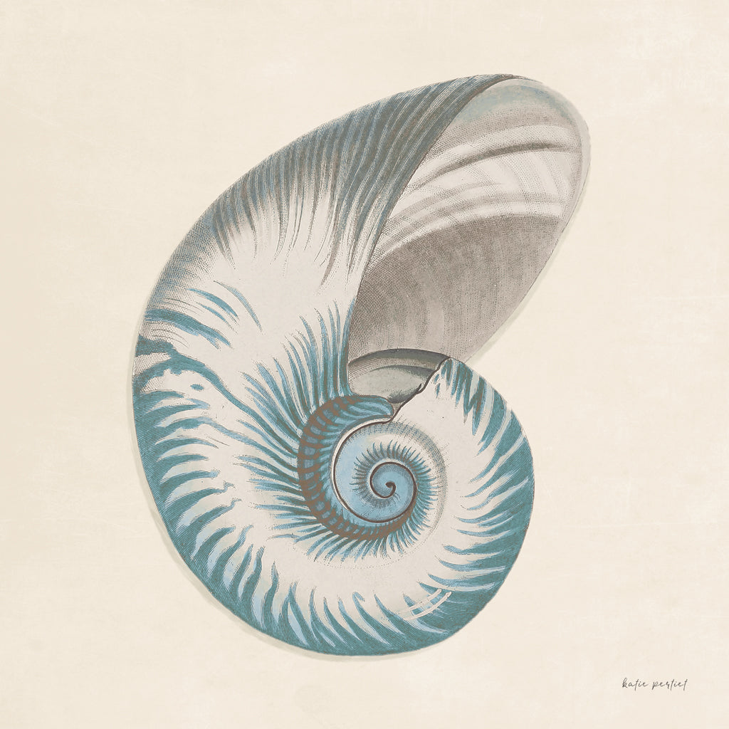 Reproduction of Beach Wonders III v2 by Katie Pertiet - Wall Decor Art