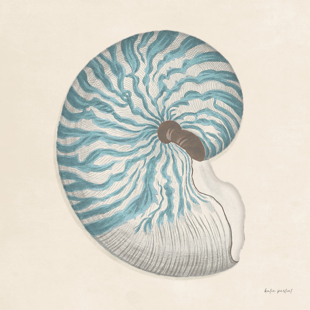 Reproduction of Beach Wonders IV v2 by Katie Pertiet - Wall Decor Art