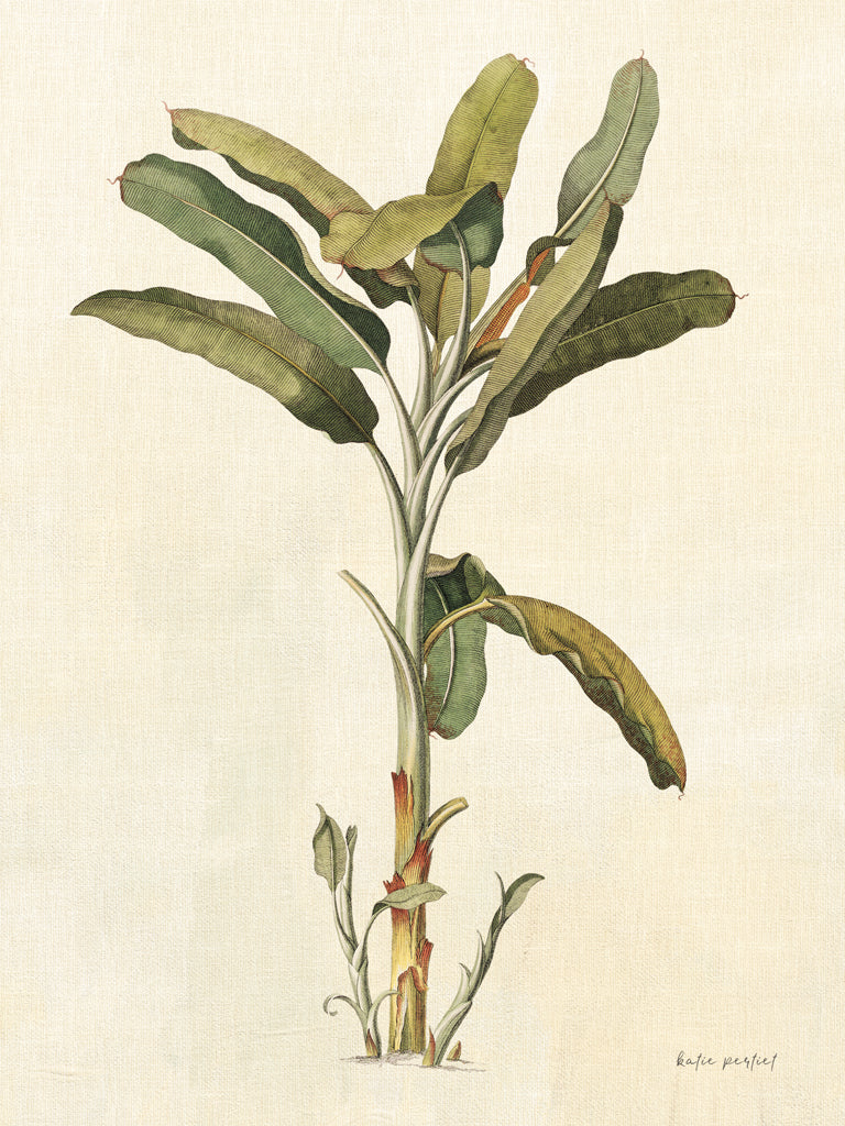 Reproduction of Floridian III v2 by Katie Pertiet - Wall Decor Art