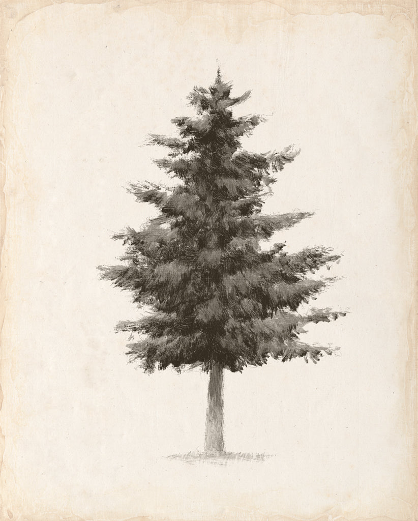 Reproduction of Into the Woods Trees II v2 by Emily Adams - Wall Decor Art