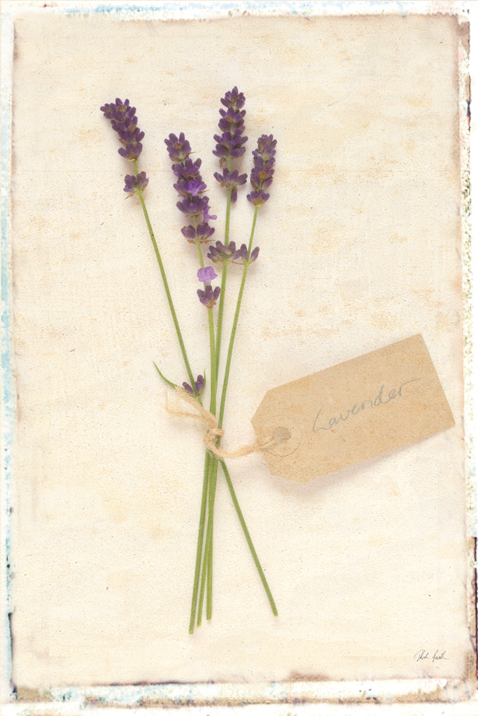 Reproduction of Cottage Lavender by Deborah Revell - Wall Decor Art