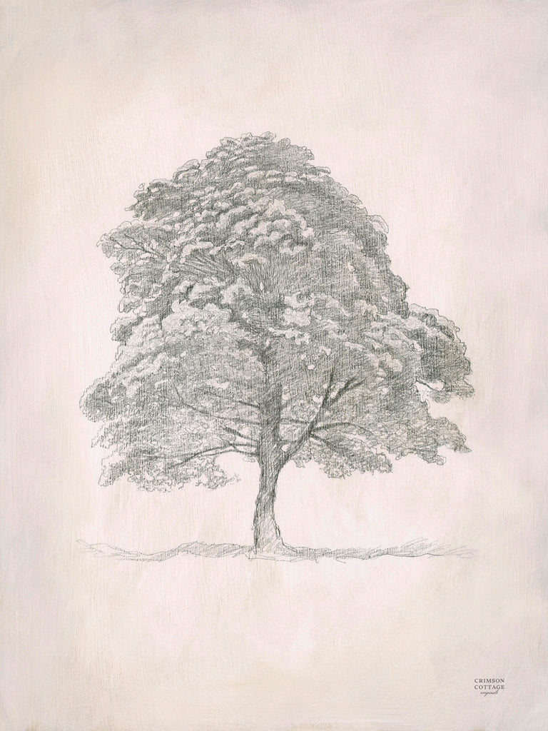 Reproduction of Sycamore Tree  II by Crimson Cottage - Wall Decor Art