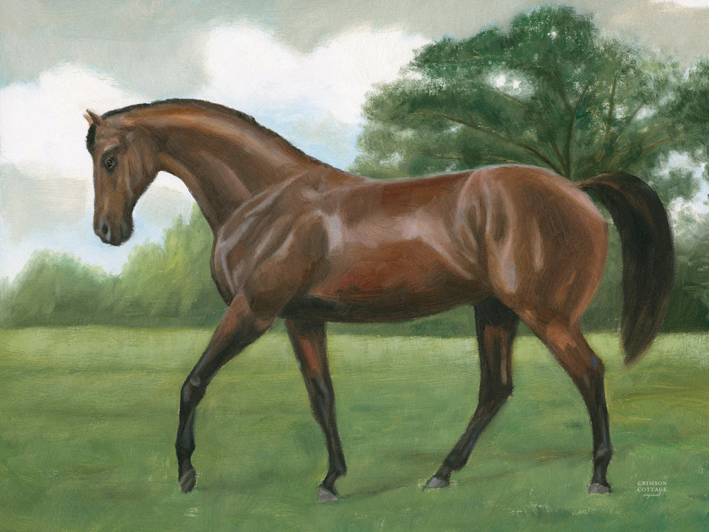 Reproduction of Vintage Horse Portrait I by Crimson Cottage - Wall Decor Art