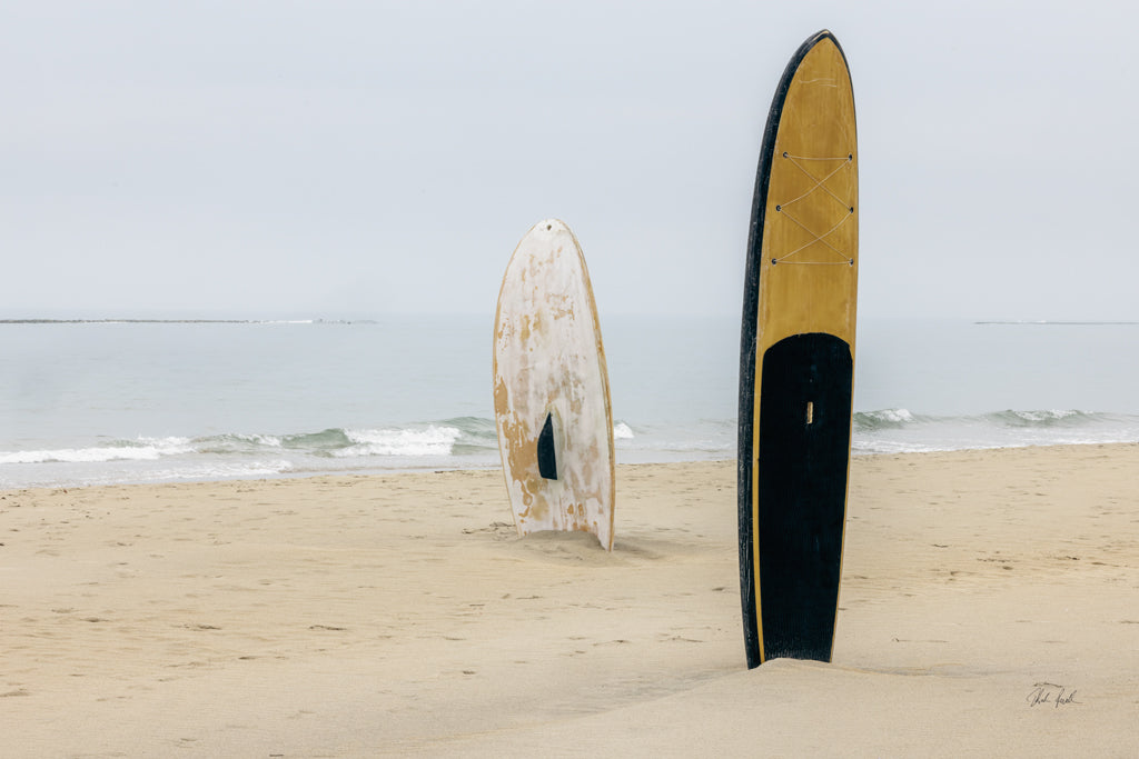 Reproduction of Long Boards I by Deborah Revell - Wall Decor Art