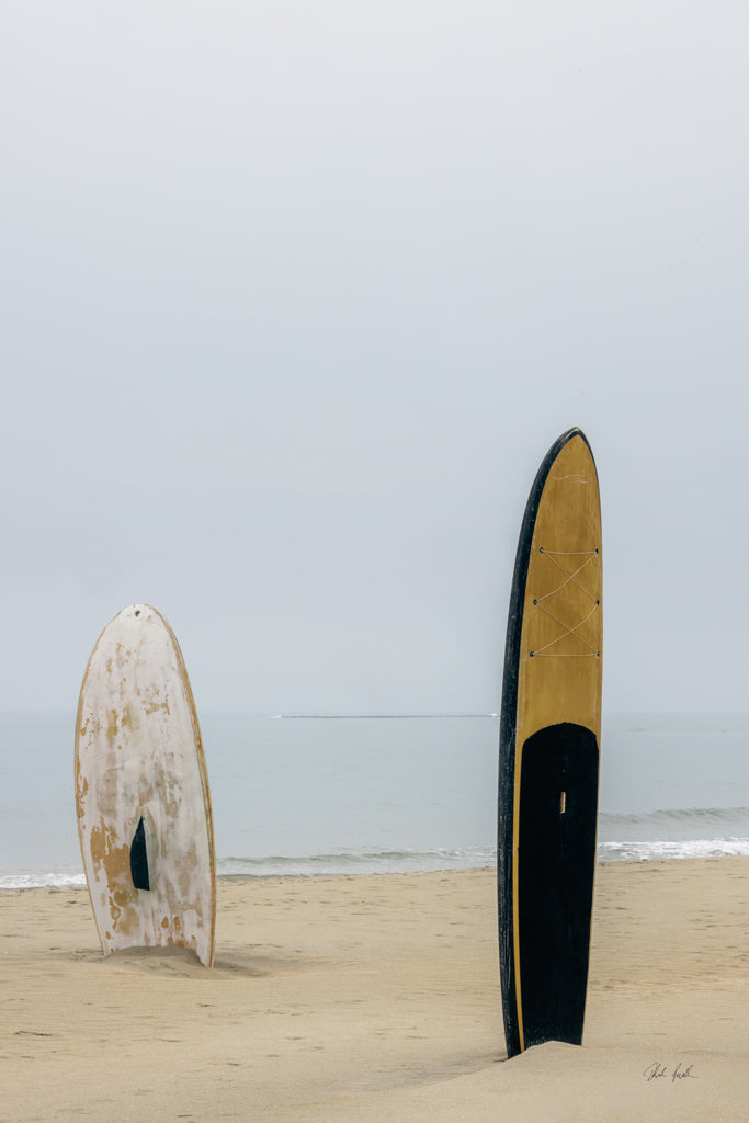 Reproduction of Long Boards II by Deborah Revell - Wall Decor Art