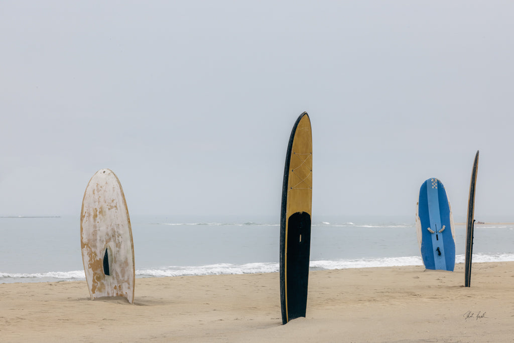 Reproduction of Long Boards III by Deborah Revell - Wall Decor Art