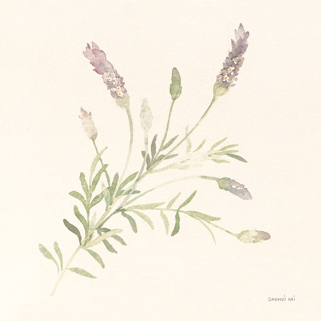 Reproduction of Gentle Lavender I by Danhui Nai - Wall Decor Art