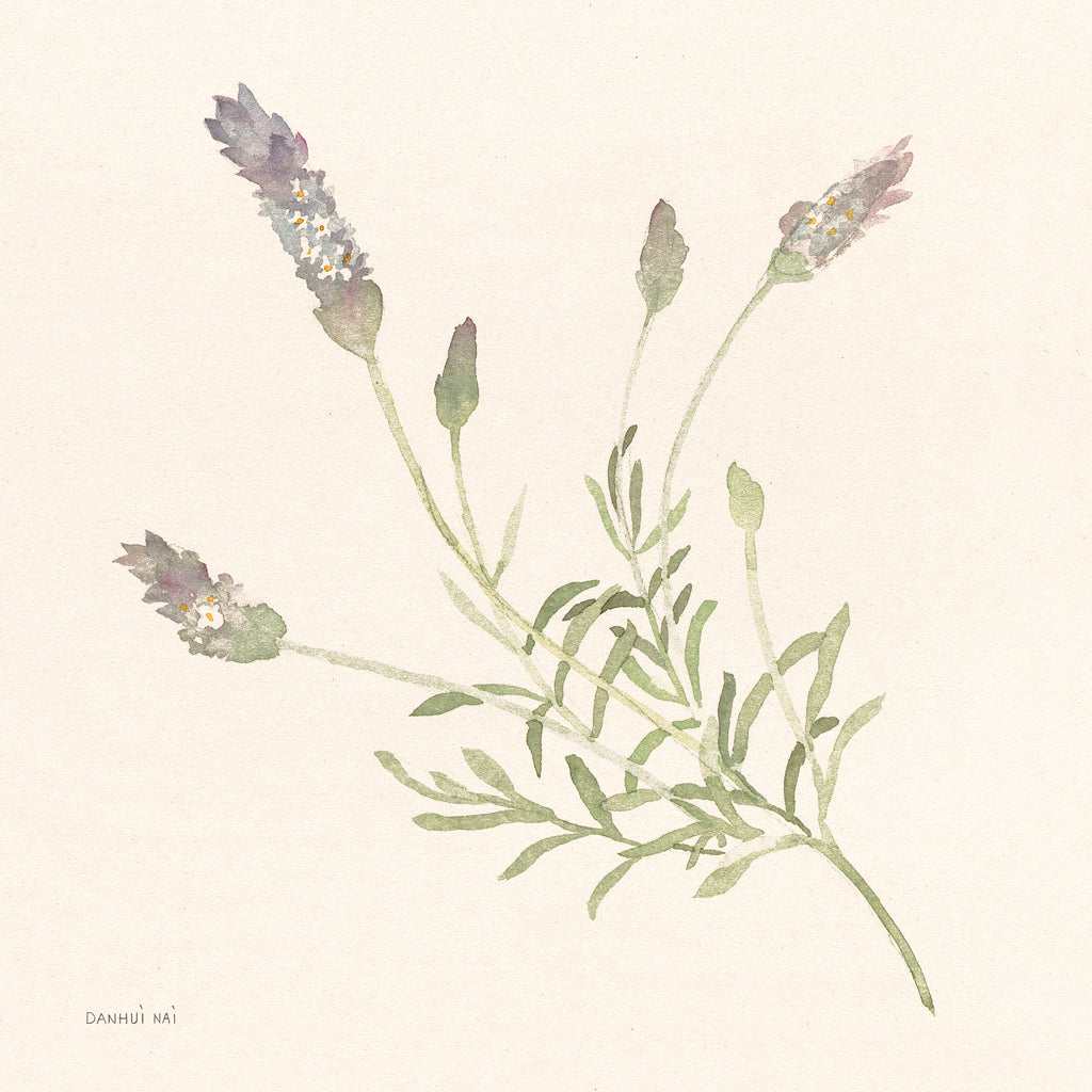 Reproduction of Gentle Lavender II by Danhui Nai - Wall Decor Art