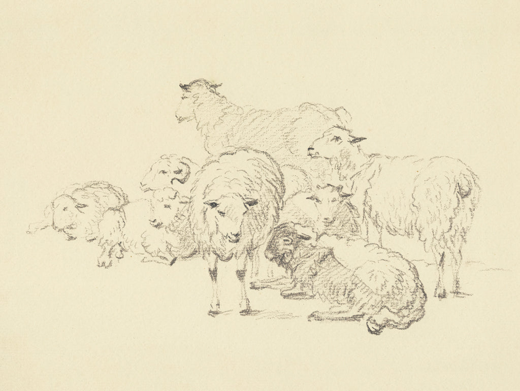 Reproduction of Happy Herd by Wild Apple Portfolio - Wall Decor Art