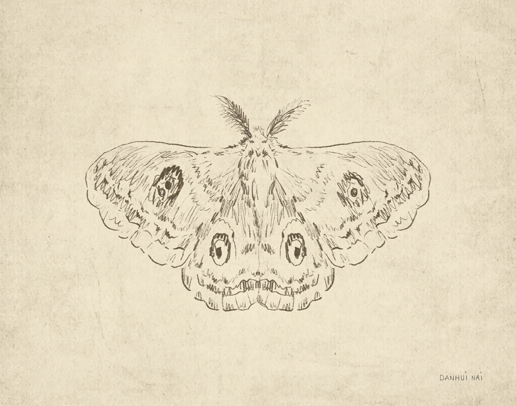 Reproduction of Woodland Moth by Danhui Nai - Wall Decor Art