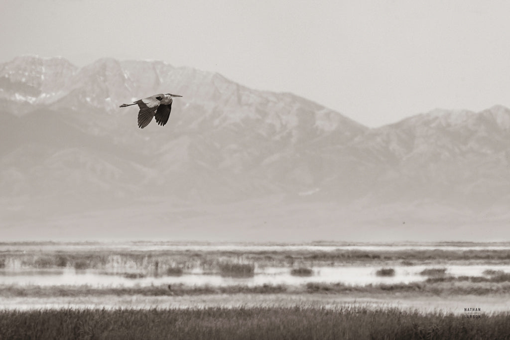 Reproduction of Returning to the Nest Sepia by Nathan Larson - Wall Decor Art