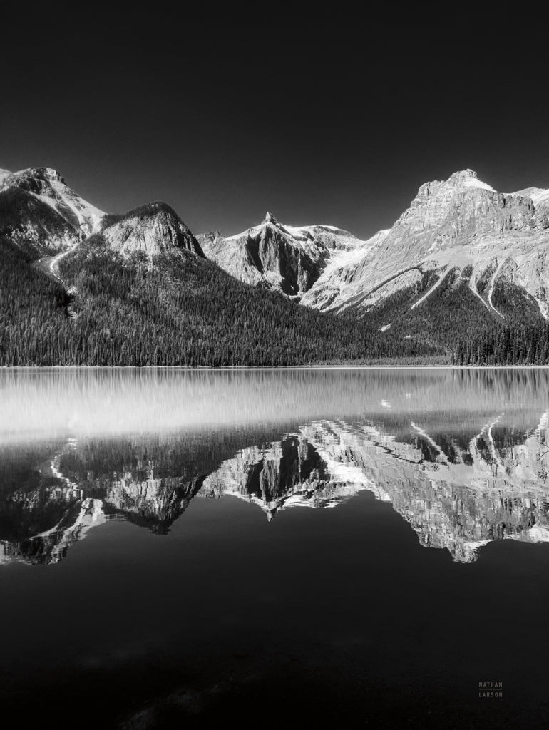 Reproduction of Pulse Check BW by Nathan Larson - Wall Decor Art